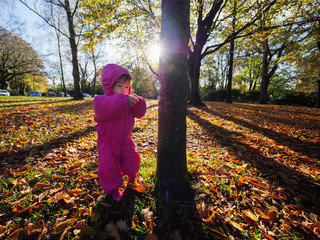 Baby girl playing at Autumn forest