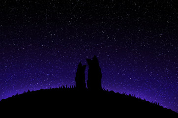 Silhouette of Two Dogs Sitting on the Meadow and Observing Starry Sky