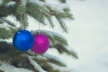 Blue and purple Christmas-tree toys on the snowy branches