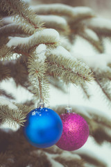 Blue and purple Christmas-tree toys on the snowy branches