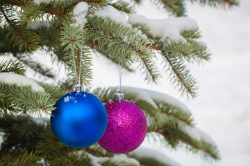 Fototapeta na wymiar Blue and purple Christmas-tree toys on the snowy branches