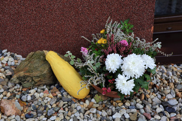 Kwiaty, dynia i kamień na kolorowych kamieniach w ogrodzie.