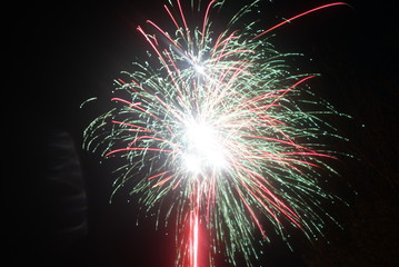 Fireworks Night Spectacular