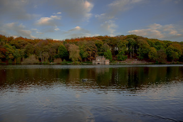 Newmillerdam lake, UK, Europe, West Yorkshire