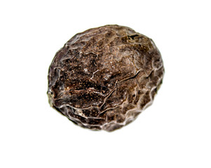 Walnuts in green peel on a white background