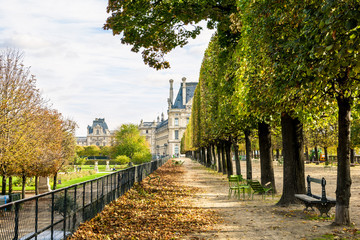 The Flore pavilion of the Louvre palace seen from the Tuileries garden in Paris, by a sunny autumn afternoon, with an alignment of linden trees, metallic chairs and dead leaves on the ground.