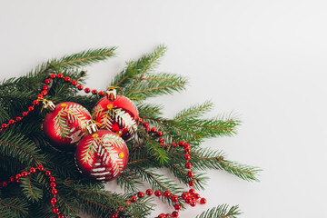 Red balls on fir branches on a white background