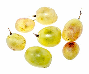 Delicious grapes on a white background