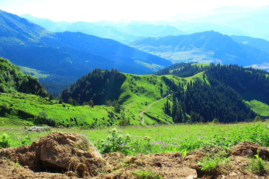 artvin şavşat