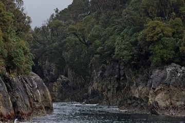 Naklejka na ściany i meble Fjordland Doubtfull Sound New Zealand
