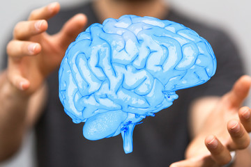 brain