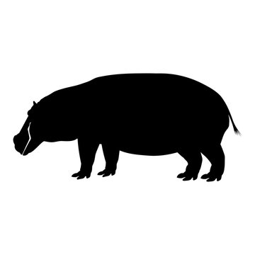 Black silhouette of a hippo standing on the legs