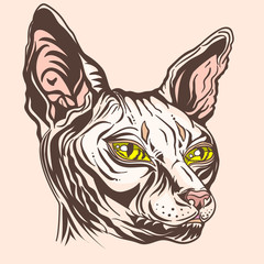 sketch of a cat's head. Black and white Portrait of a Sphinx cat with yellow eyes. . Hand drawn cat breed Sphinx. Hairless naked cat. Graphic vector illustration.