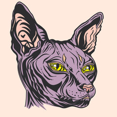Portrait of a Sphinx cat with yellow eyes. Hand drawn cat breed Sphinx. Hairless naked cat. Graphic vector illustration.