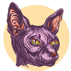 Portrait of a Sphinx cat with yellow eyes. Hand drawn cat breed Sphinx. Hairless naked cat. Graphic vector illustration.