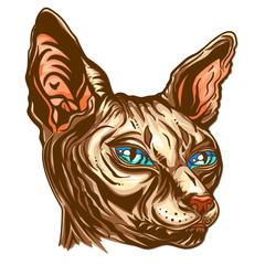 Fototapeta na wymiar Portrait of a Sphinx cat with blue eyes. Hand drawn cat breed Sphinx. Hairless naked cat. Graphic vector illustration.
