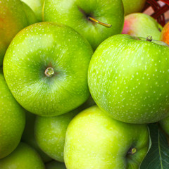 Fresh ripe apples in a basket, collection in a summer garden. Organic fruits and vegetables.