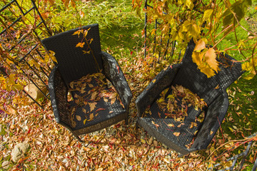 Two armchairs in a garden gazebo