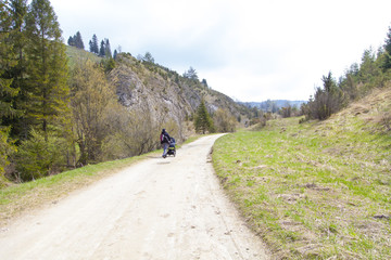 Path in the mountain on the spring time