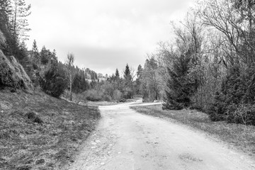 Path in the mountain on the spring time