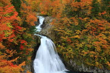 紅葉の法体の滝