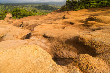 Kauai Flood Bed