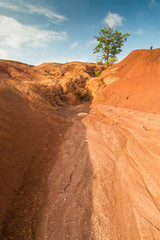 Kauai Red Dirt