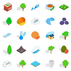 Landscaping icons set, isometric style