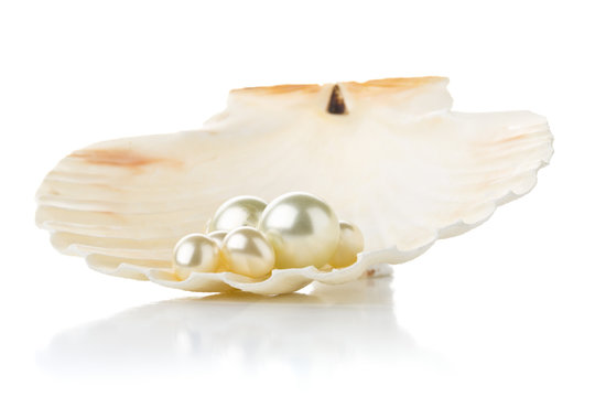 Multiple pearls in sea shell