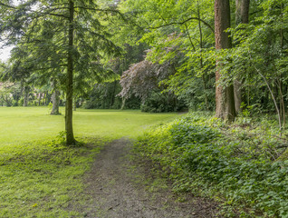 Fototapeta premium idyllic park scenery