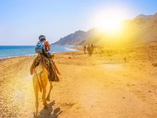 Zelfklevend Fotobehang Egypte toeristen en ongedefinieerde vrouw op kamelen rijden met bedoeïenen langs de kust van de gouden stad die beroemd is om zijn zonsondergangen en Blue Hole. Dahab, Rode Zee, Sinaï-schiereiland, Egypte