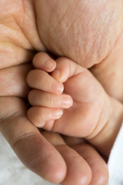 Newborn baby touching his father hand
