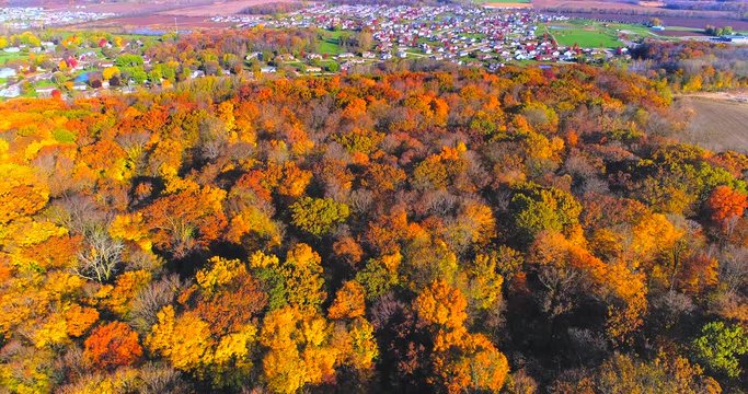 Aerial flyover of Autumn colors, beautiful neighborhood in small town America. 
