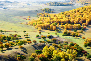 autumn landscapes of Bashang plateau/ autumn landscapes of meadows steppe