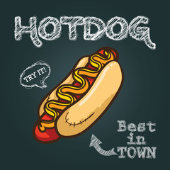 Hotdog vector illustration, hand drawn hot dog illustration, hot dog vector poster