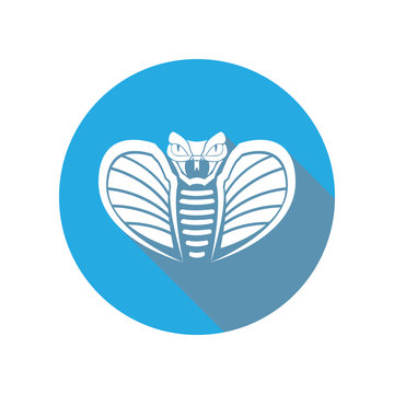 Cobra flat head icon