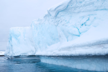 antartic