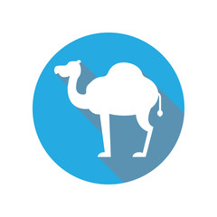 camel flat icon