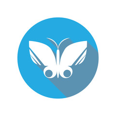 butterfly flat icon