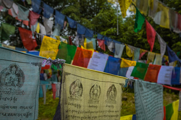 Prayer flags in a forest in Bhutan