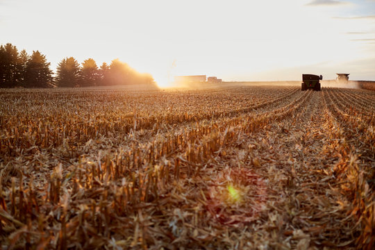 Combine harvester working at sunset