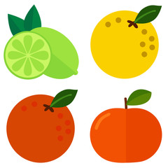 citrus icon