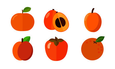 orange fruit icon