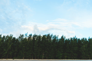 Pine beach is on the beach.