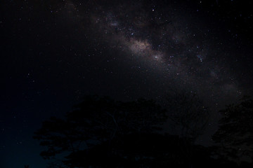 Fototapeta na wymiar Milky way and stars in dark night