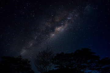 Milky way and stars in dark night