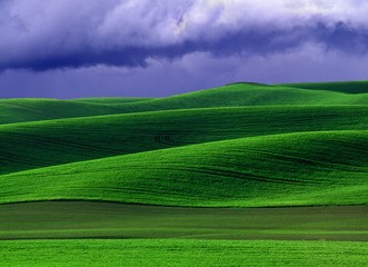 Agricultural landscape in south-east Washington State USA