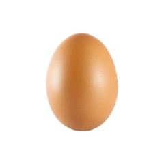 Single brown chicken egg vertical isolated on white background.