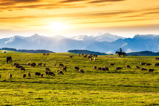 grassland in Xinjiang © 06photo