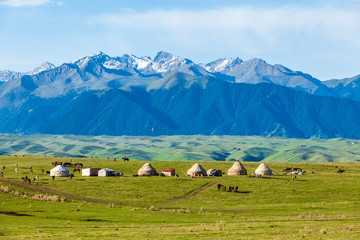 grassland in Xinjiang